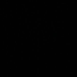 Meet your Posher, Kalise